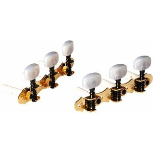 Ortega OTM-FAMILYPRO kép