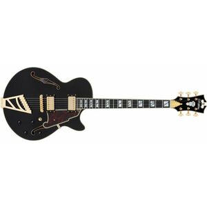 D'Angelico Excel SS Black kép