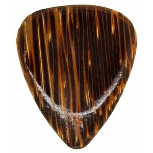 Timber Tones Coconut Palm kép