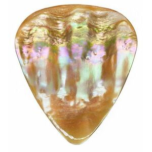 Timber Tones Abalone Tones Awabi Abalone kép