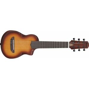 Ibanez AUP10N Light Brown Sunburst kép