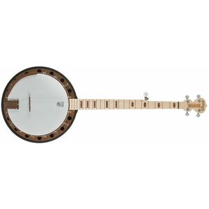 Deering Goodtime Special 5-String with Resonator kép