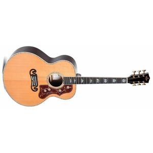 Sigma Guitars GJR-SG300 kép