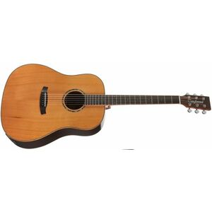 Tanglewood TRS5 SE kép