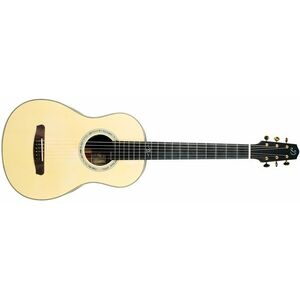 Dowina 2022 BVE Cocobolo Master Series Parlor kép