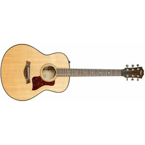 Taylor 2021 GTe Urban Ash kép