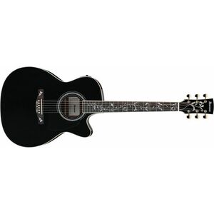 Ibanez AC391RCE Black Top kép