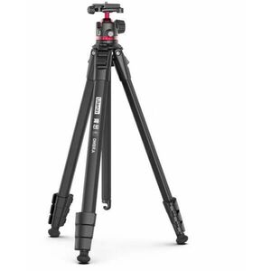 Ombra II Ying (T156) kép