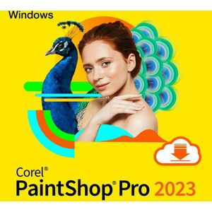 PaintShop Pro 2023 ENG (ESDPSP2023ML) kép