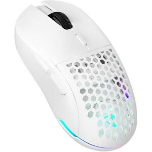 Swipe YMS 3001WE kép