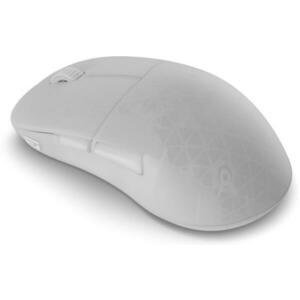 EGG-XM2W-4K-V2-WF kép