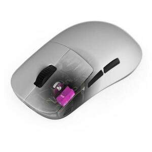 OP1 (EGG-SP-HN150-6070) kép