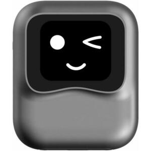 PCS50 Ottoaibox Nano kép