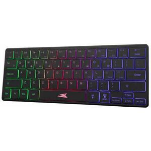 SEAHORSE-B-US (BGK-04141B-US) kép