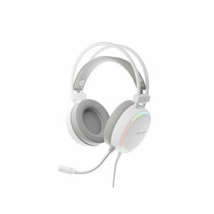 Genesis Neon 613 G2 Gamer Fejhallgató mikrofonnal, RGB megvilágít... kép
