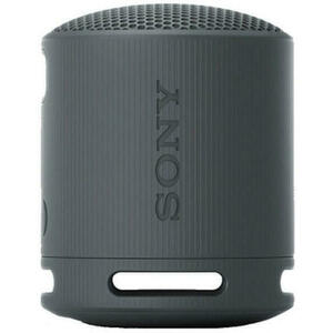 SRS-XB100B kép