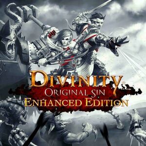 Divinity Original Sin [Enhanced Collector's Edition] (PC) kép