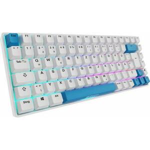 Skiller SGK50 S3 PBT (4044951039197) kép