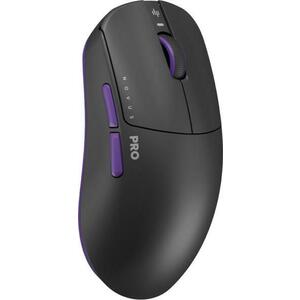 Novus Pro Blackberry kép