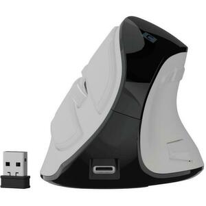 Euphonie Pro NMY-2378 kép