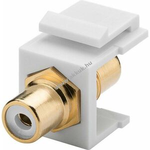 Goobay Keystone modul 2x Cinch (RCA) aljzat fehér aranyozott kép
