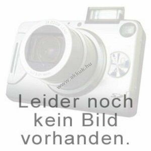 Sanyo KRDHL DEL KR-5000DEL 2, 4V 5000mAh 2x Faston ipari NiCd kép