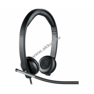 Logitech Headset H650e USB sztereó fekete üzleti kép