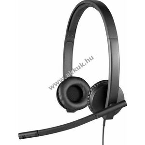 Logitech H570e USB sztereó headset mikrofonnal fekete üzleti kép