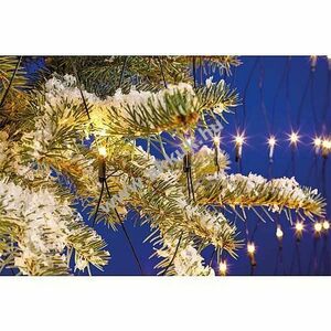 EGB LED fényháló 2x2m 240LED 2500K melegfehér IP44 tápegység LED-240-30V3.6W kép