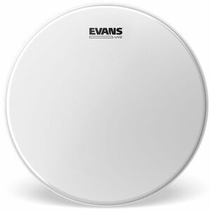 Evans 14" UV2 kép
