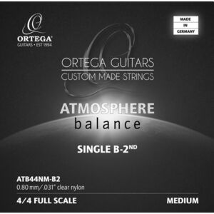 Ortega ATB44NM-B2 kép