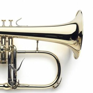 VanLaar B1 Glossy, Raw brass kép