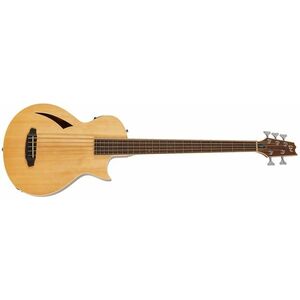 ESP LTD TL-5 NAT kép
