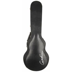 Godin Case Summit/Core kép