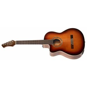 Ortega RCE238SN-FT-L kép