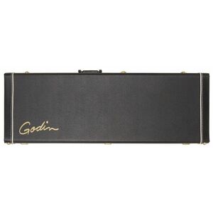 Godin Case Session kép