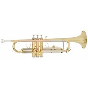 Bacio Instruments BTR-100 kép