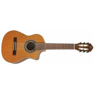 Ortega RQC25 kép