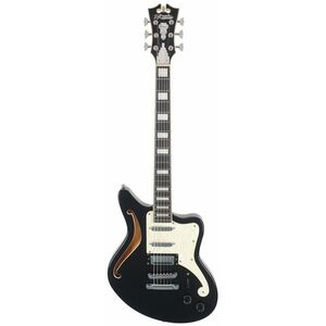 D'Angelico Offset Semi-Hollow Black Flake kép