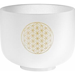 Meinl Sonic Energy CSB8FOL kép