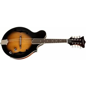 Tanglewood TWMFVSE kép