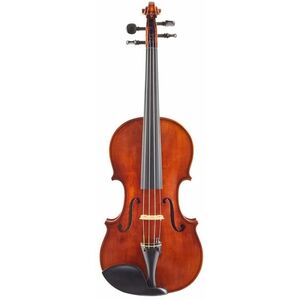 Maestro Instrument Petr Rácz Concerto 2020 kép