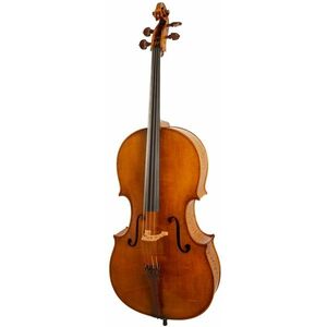 Maestro Instrument Petr Rácz Violoncello anno 2015 kép