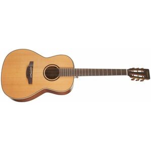 Takamine P3NY kép