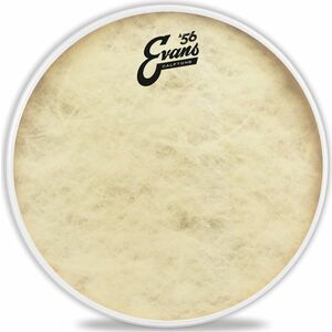 Evans 13" Calftone kép