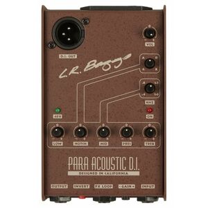L.R. Baggs PARA DI kép