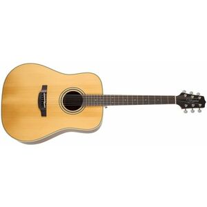 Takamine GD20-NS kép