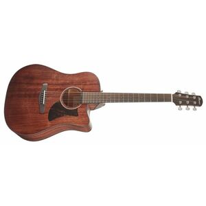 Ibanez AAD190CE Natural kép