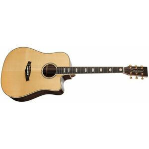 Tanglewood TW1000HSRCE kép