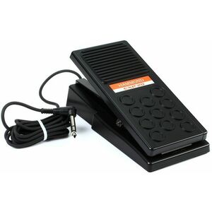 Hammond EXP-20 kép